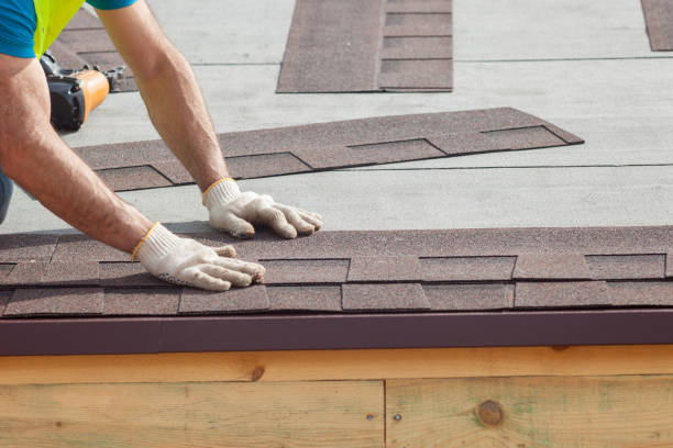 Best Steel Roofing  in Pine Castle, FL